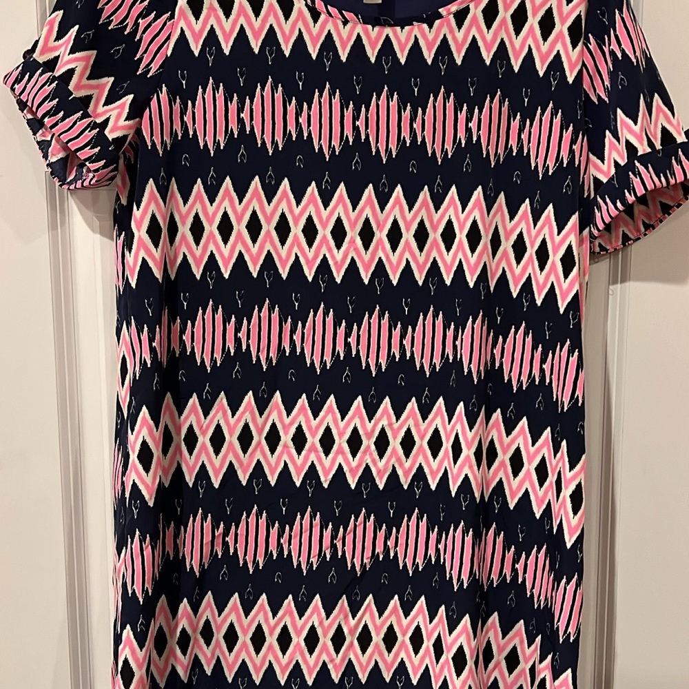 Woman’s Large Pink and Blue Mini Dress